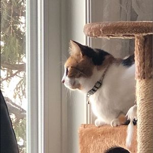 Meet your Posher, Samira